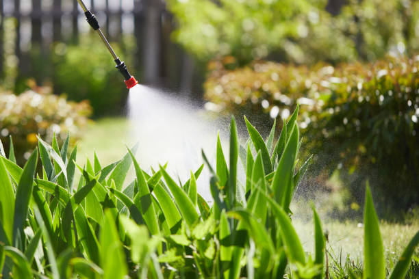 24/7 Emergency Termite Control experts in Wind Gap, PA